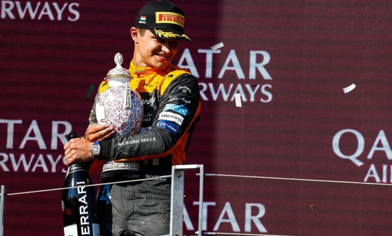 Lando Norris Campione del Mondo in Qatar se combinazioni